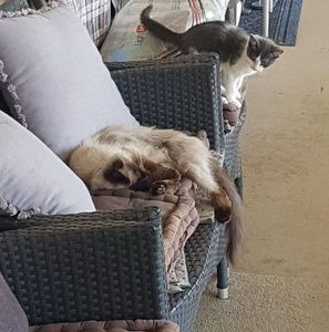 Meet your Posher, Bill